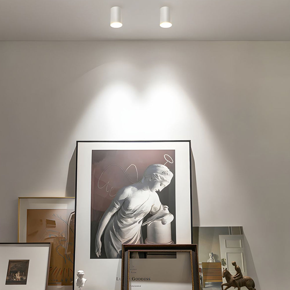 Modern Aluminum LED Downlight - Cylindrical Flush Mount Ceiling Light