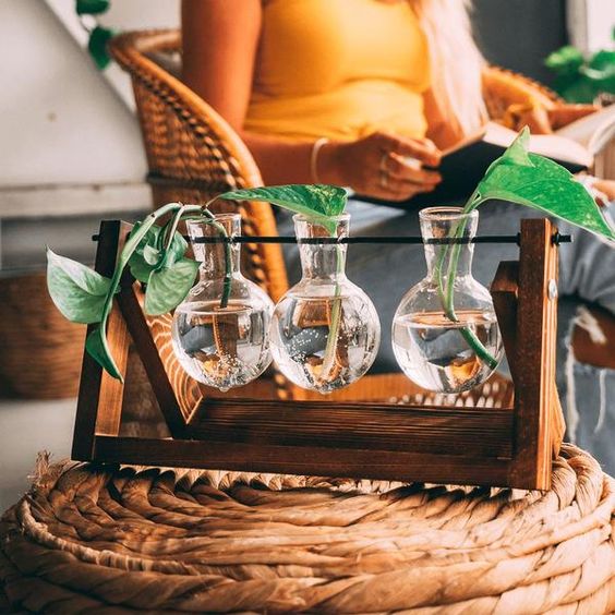 Plant Propagation Station with Glass Bulb Vases | Wooden Hydroponic Stand