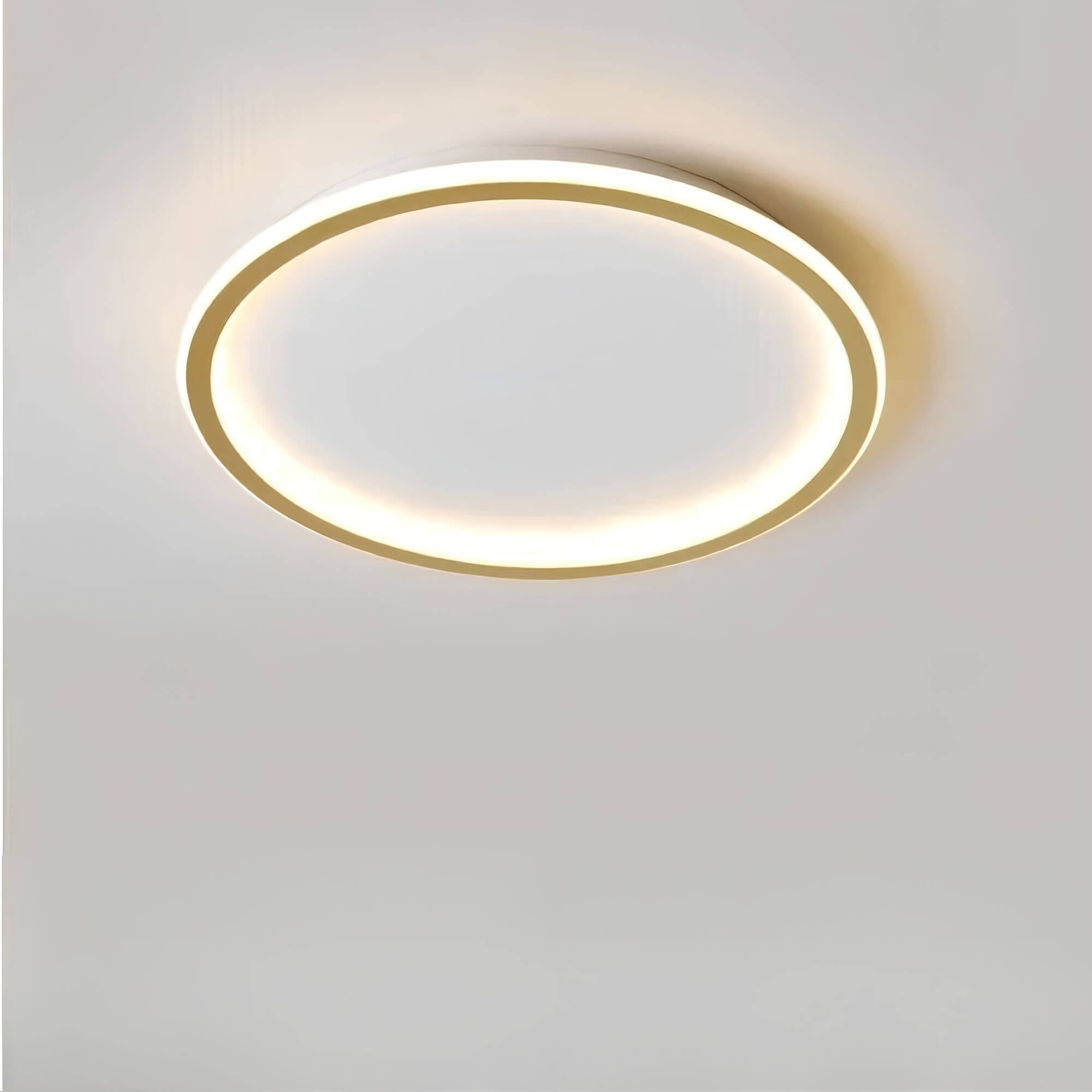 Aurora Globe LED Ceiling Lamp - Stylish Lighting for Any Space