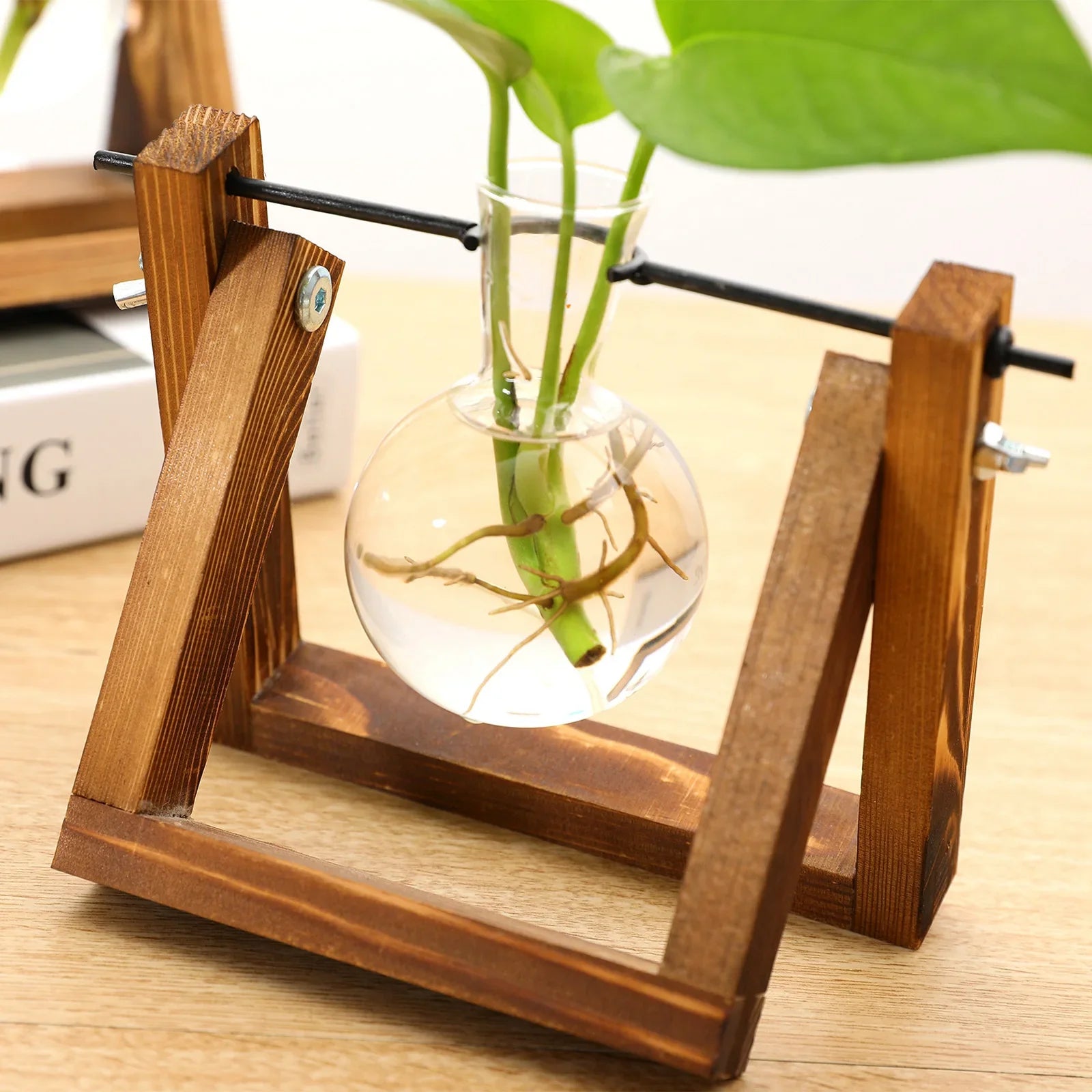 Plant Propagation Station with Glass Bulb Vases | Wooden Hydroponic Stand
