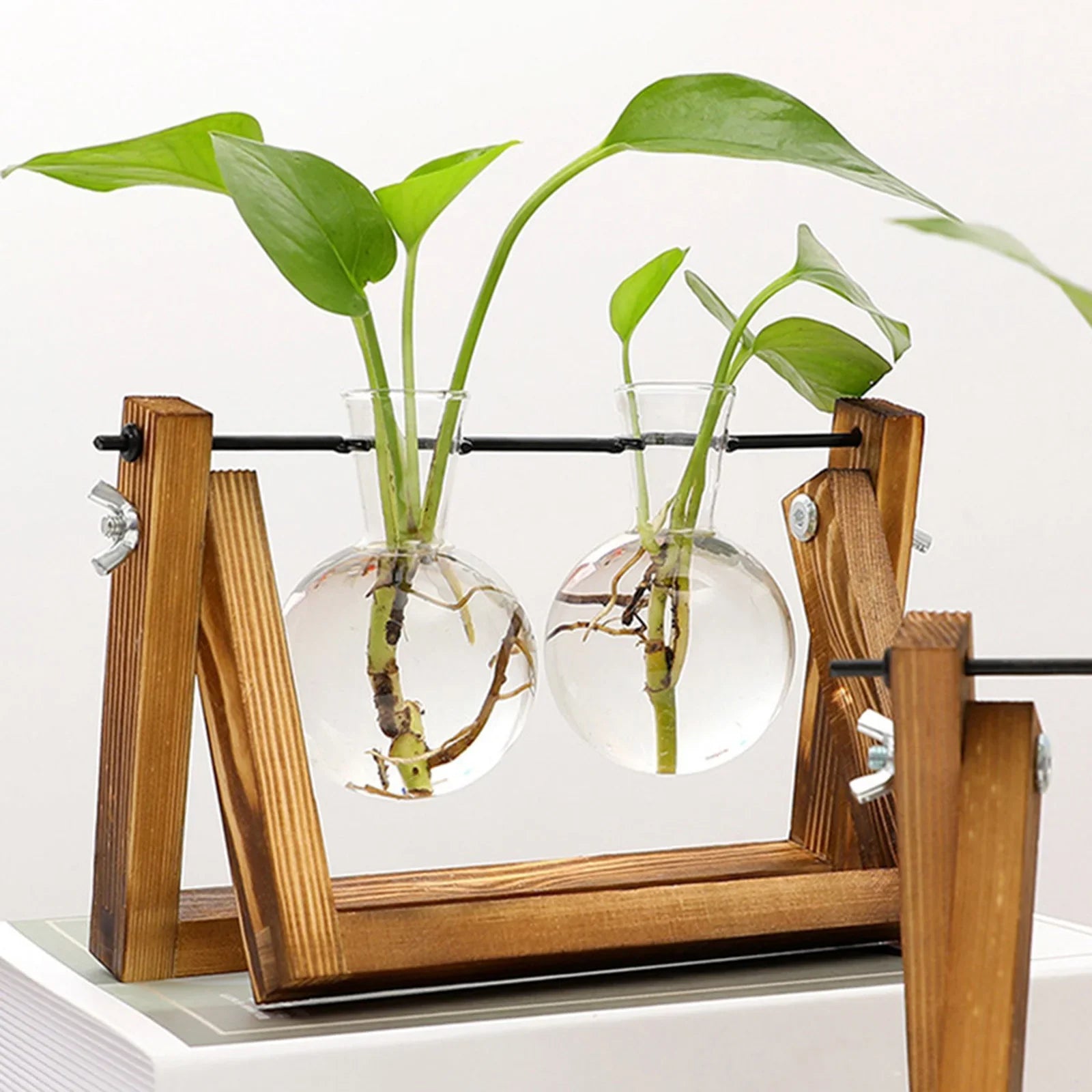 Plant Propagation Station with Glass Bulb Vases | Wooden Hydroponic Stand