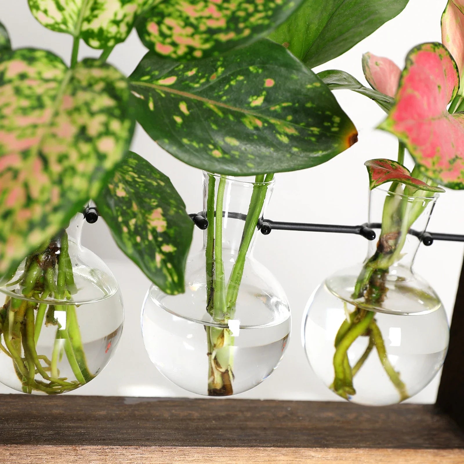 Plant Propagation Station with Glass Bulb Vases | Wooden Hydroponic Stand