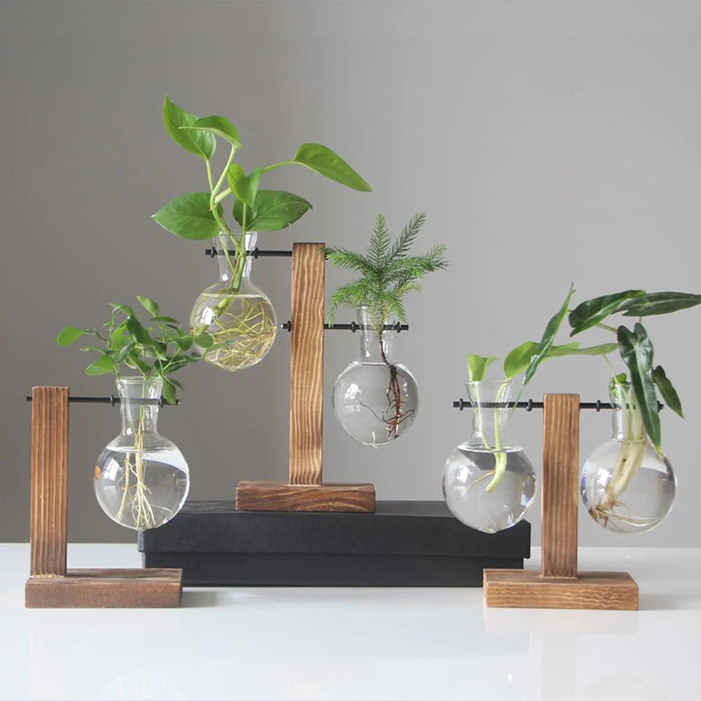 Modern Glass Propagation Vase with Wooden Stand – Stylish Hydroponic Plant Holder