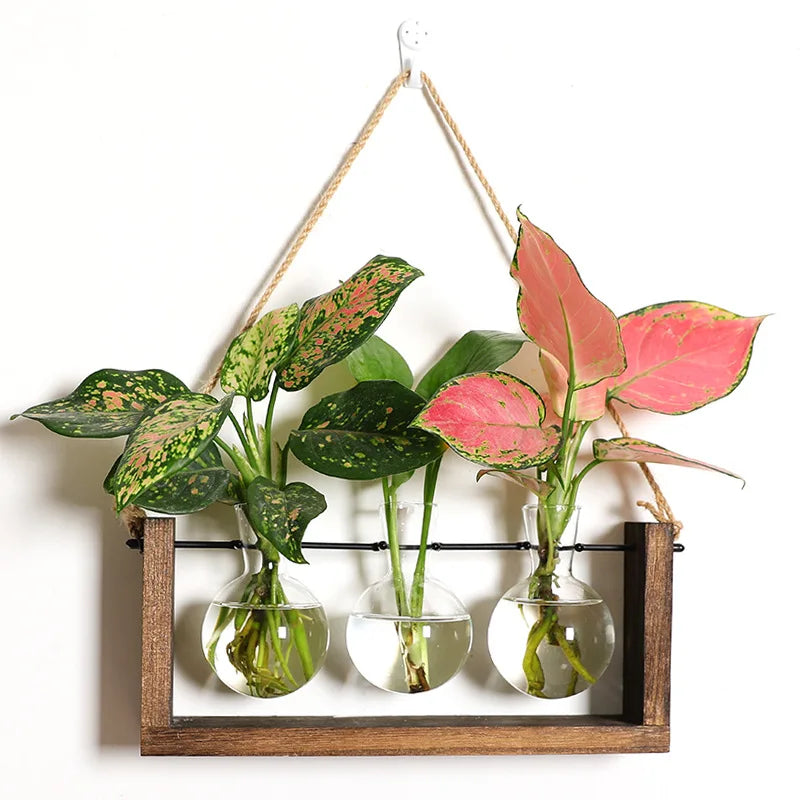 Plant Propagation Station with Glass Bulb Vases | Wooden Hydroponic Stand