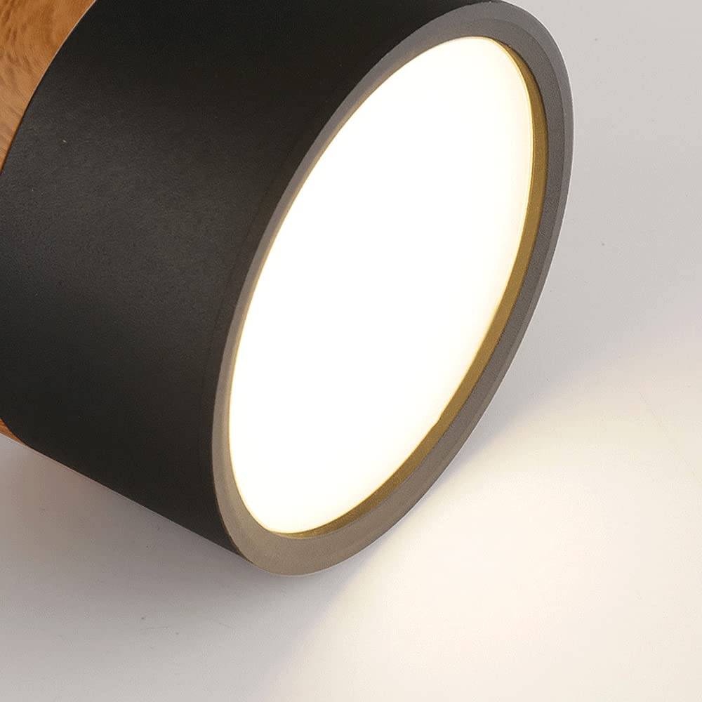 Modern Flush Mount Ceiling Light with Natural Wood Trim