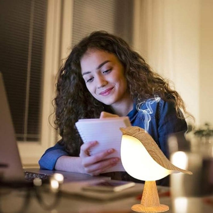 Touch Lamp with Essential Oil Diffuser and Adjustable Brightness