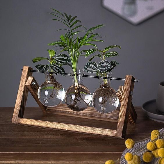 Plant Propagation Station with Glass Bulb Vases | Wooden Hydroponic Stand