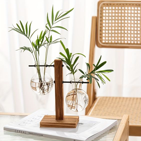 Modern Glass Propagation Vase with Wooden Stand – Stylish Hydroponic Plant Holder