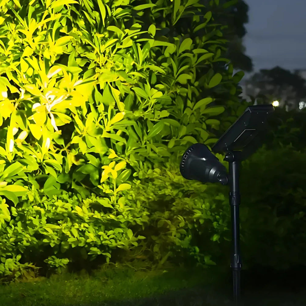 Solar Powered LED Garden Spotlight - Adjustable Outdoor Landscape Lights