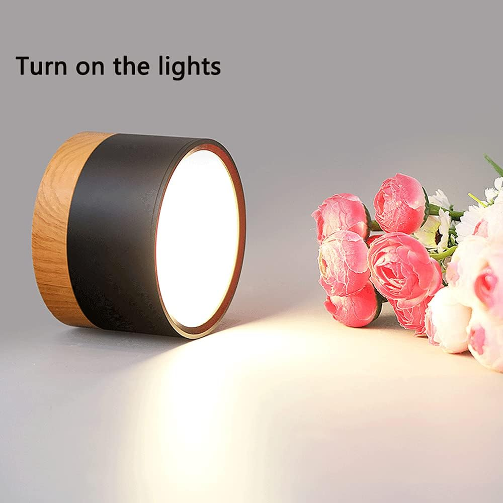 Modern Flush Mount Ceiling Light with Natural Wood Trim