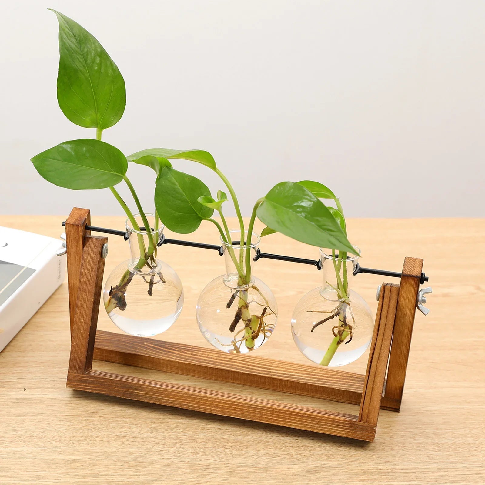 Plant Propagation Station with Glass Bulb Vases | Wooden Hydroponic Stand