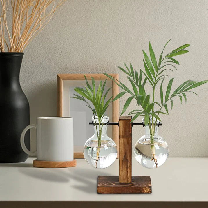 Modern Glass Propagation Vase with Wooden Stand – Stylish Hydroponic Plant Holder
