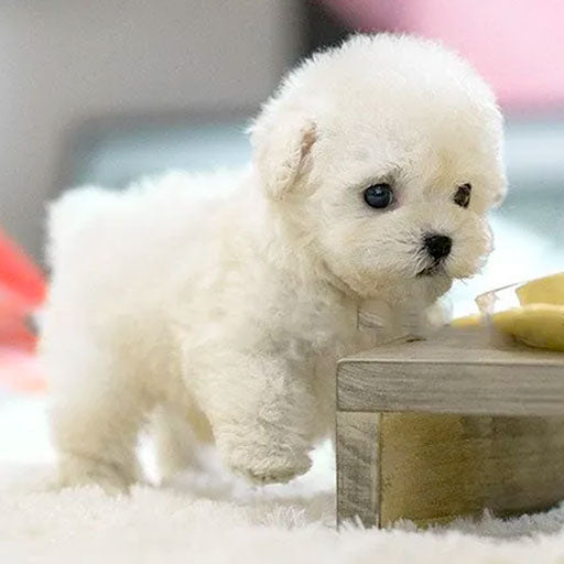 Realistic Interactive Plush Puppy Toy - Eco-Friendly, Soft Synthetic Leather, Engaging Companion for All Ages