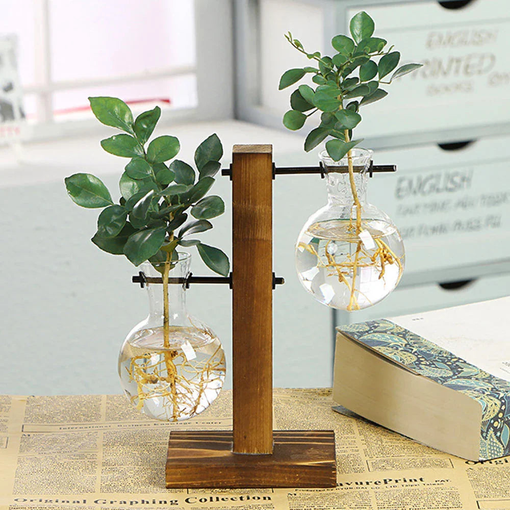 Modern Glass Propagation Vase with Wooden Stand – Stylish Hydroponic Plant Holder