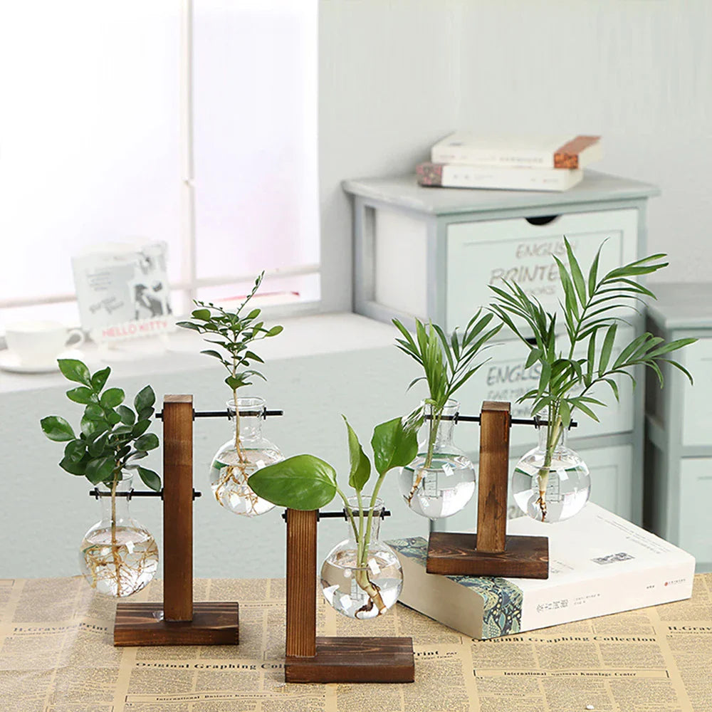Modern Glass Propagation Vase with Wooden Stand – Stylish Hydroponic Plant Holder