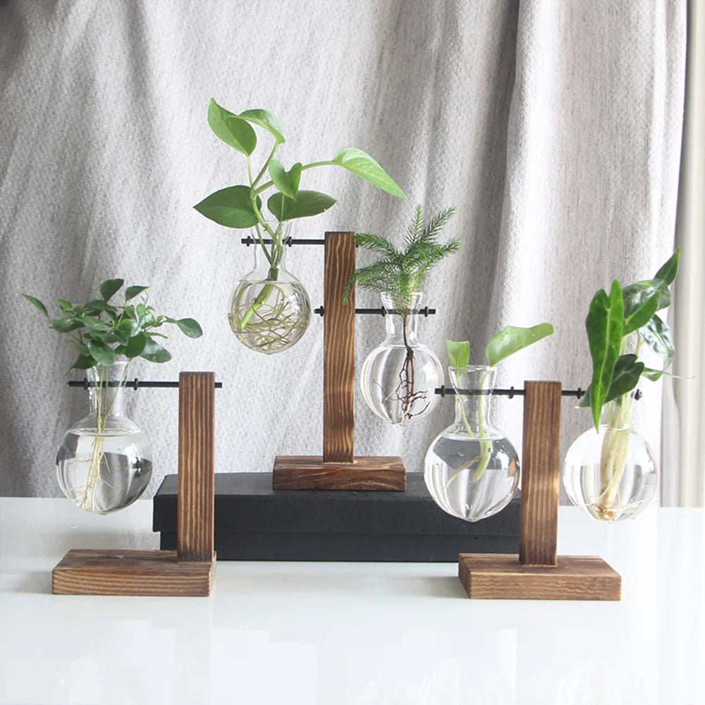 Modern Glass Propagation Vase with Wooden Stand – Stylish Hydroponic Plant Holder